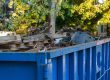 Bulk removal in Broward County: a Waste Resources crew loading furniture and debris